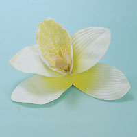 Large Orchid Flower Hair Clip