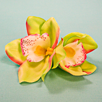 Double Orchid Flower Hair Clips