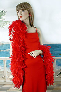 Fabulous Feather Boas - Great Wrap or Shawl